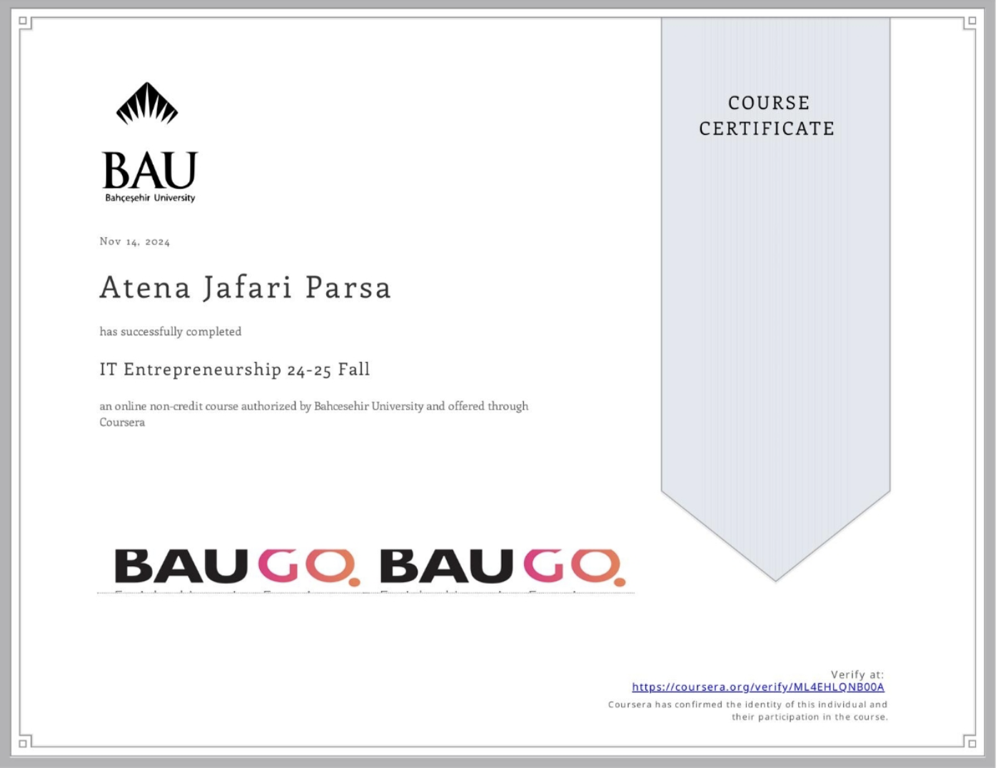 IT Entrepreneurship 24-25 Fall